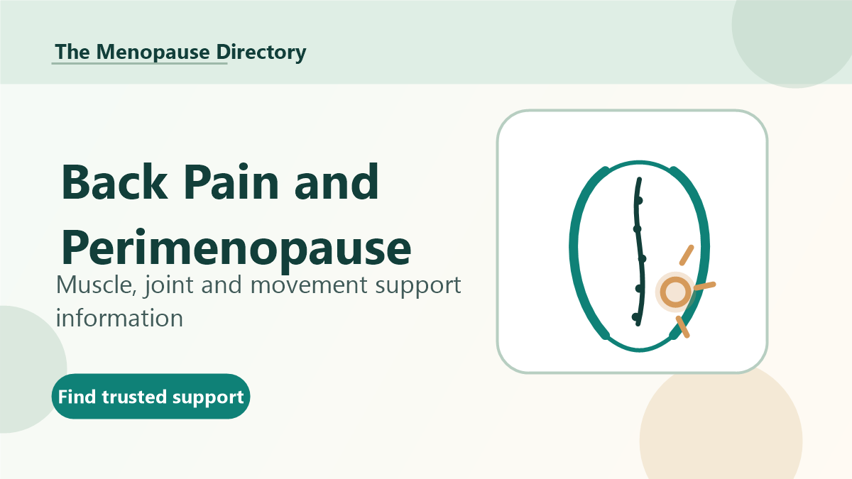 Back and spine illustration for back pain and perimenopause support information